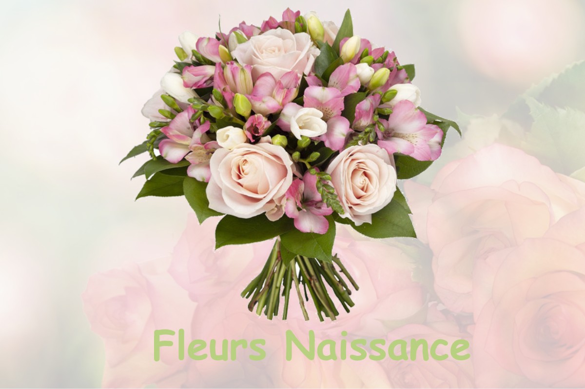 fleurs naissance LE-PLESSIS-AUX-BOIS