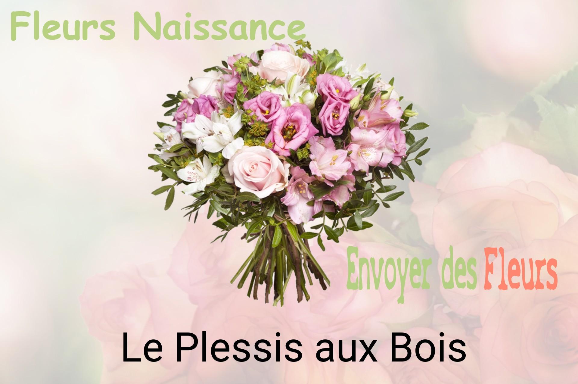 Bouquet de fleurs de naissance livré à Le Plessis-aux-Bois