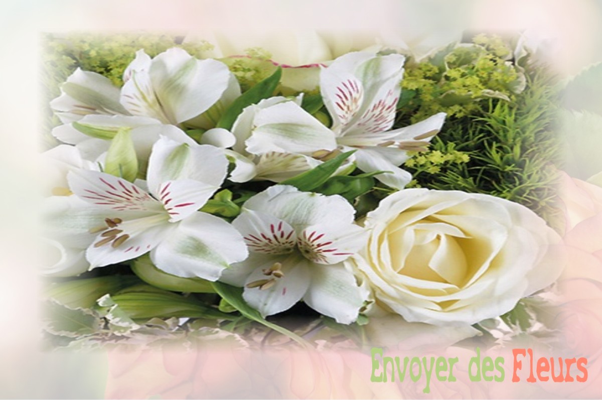envoyer des fleurs à à LE-PLESSIS-AUX-BOIS