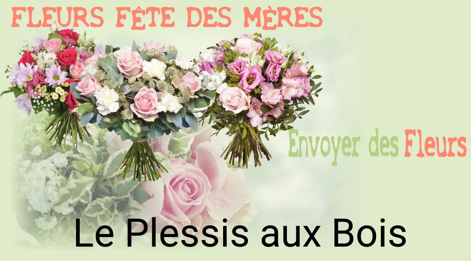 Bouquet de Fête des Mères livré à Le Plessis-aux-Bois